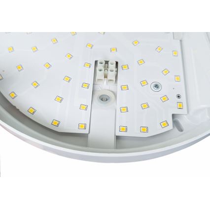 LED Udendørs væglampe med sensor HIBIS LED/15W/230V IP44