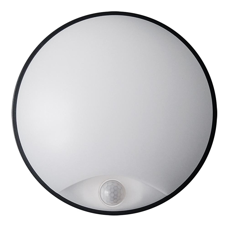 LED Udendørs væglampe med sensor LED/14W/230V IP54