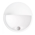 LED Udendørs væglampe med sensor LED/14W/230V IP54