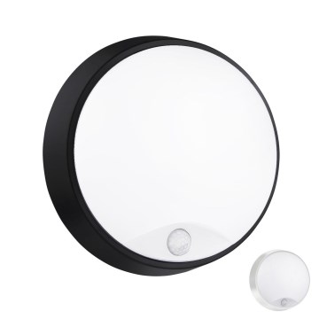 LED Udendørs væglampe med sensor LED/15W/230V 4000K IP65