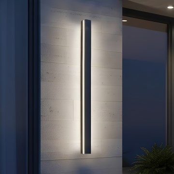 LED udendørs væglampe MIRANA LED/25W/230V 4000K IP44 120 cm sort