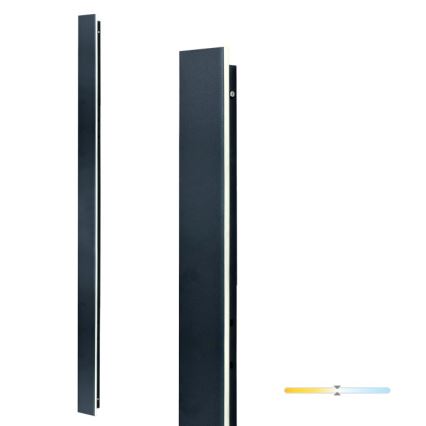 LED udendørs væglampe MIRANA LED/25W/230V 4000K IP44 120 cm sort