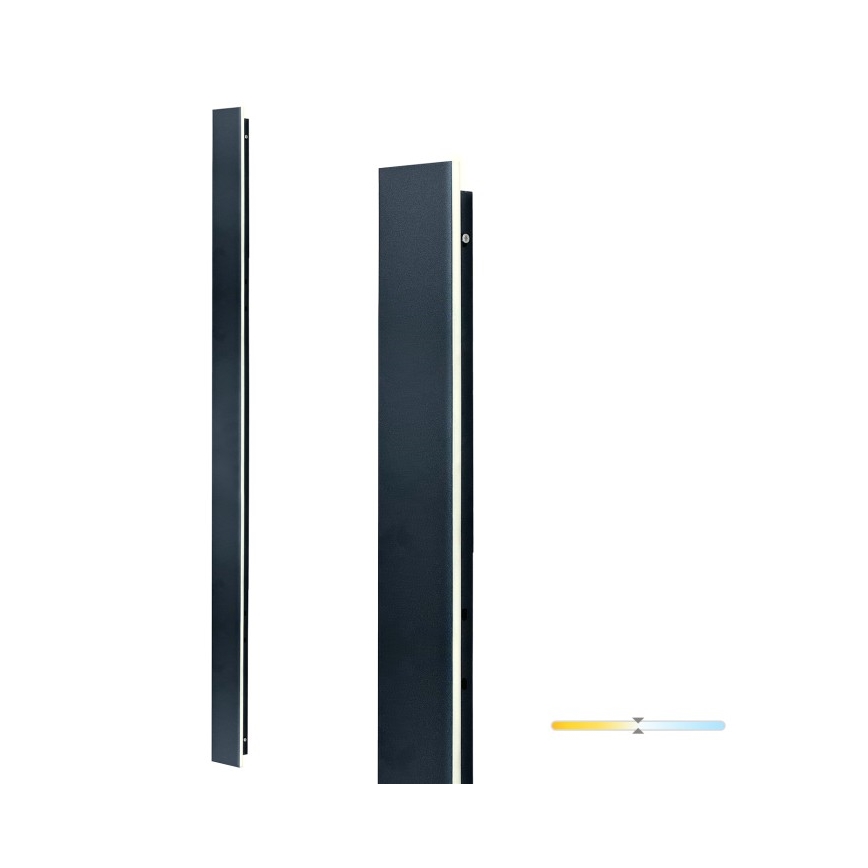 LED udendørs væglampe MIRANA LED/25W/230V 4000K IP44 120 cm sort