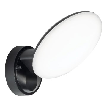 LED udendørs væglampe OLAF LED/10W/230V IP44 sort
