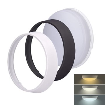 LED udendørslampe 2-i-1 LED/12W/230V IP54