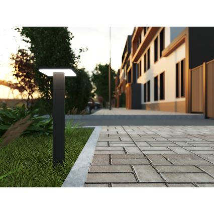 LED udendørslampe BARI LED/10W/230V 4000K 60 cm IP54 antracit