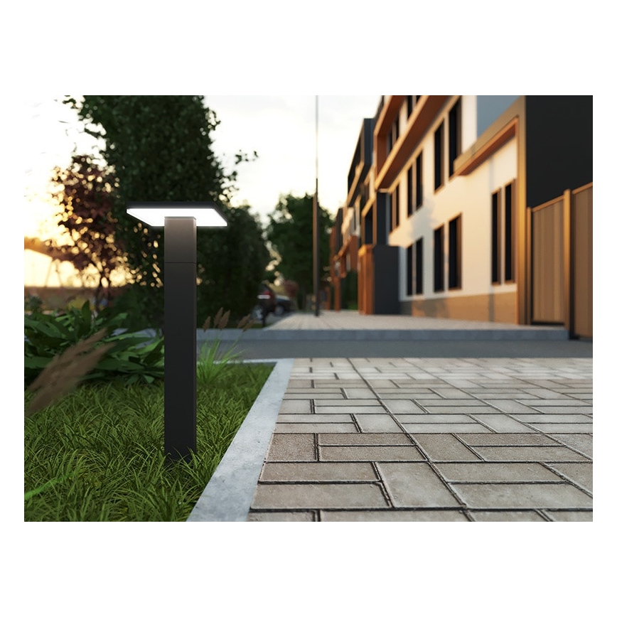 LED udendørslampe BARI LED/10W/230V 4000K 60 cm IP54 antracit