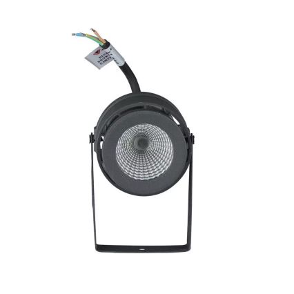 LED udendørslampe LED/12W/100-240V IP65 grå - grønt lys