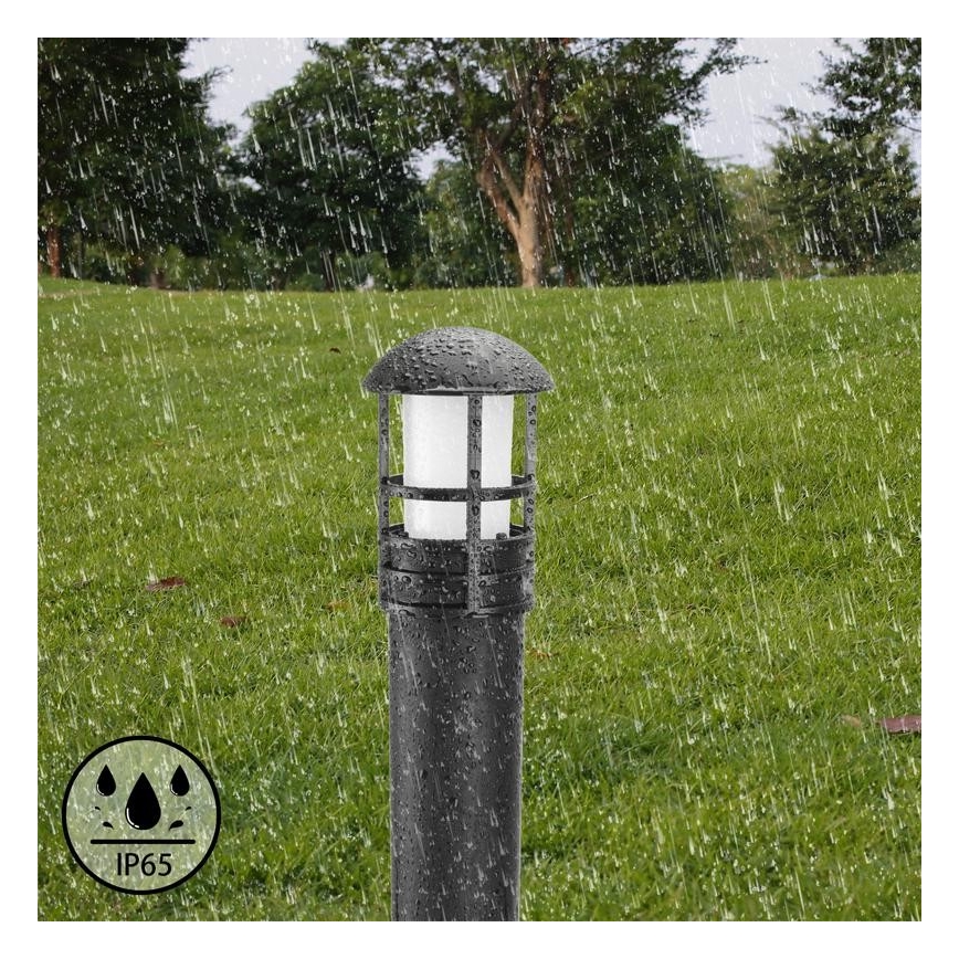LED udendørslampe LED/3W/230V 4000K IP65