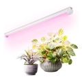 LED Under-shelf Plant Grow Light GROWLY LED/9W/230V hvid