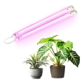 LED Underbelysning til plantevækst GROWLY 2xLED/8,5W/230V hvid