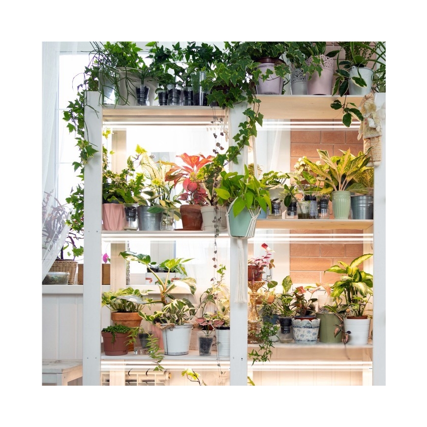 LED underskabslampe til plantevækst GROWLY 2xLED/8,5W/230V hvid
