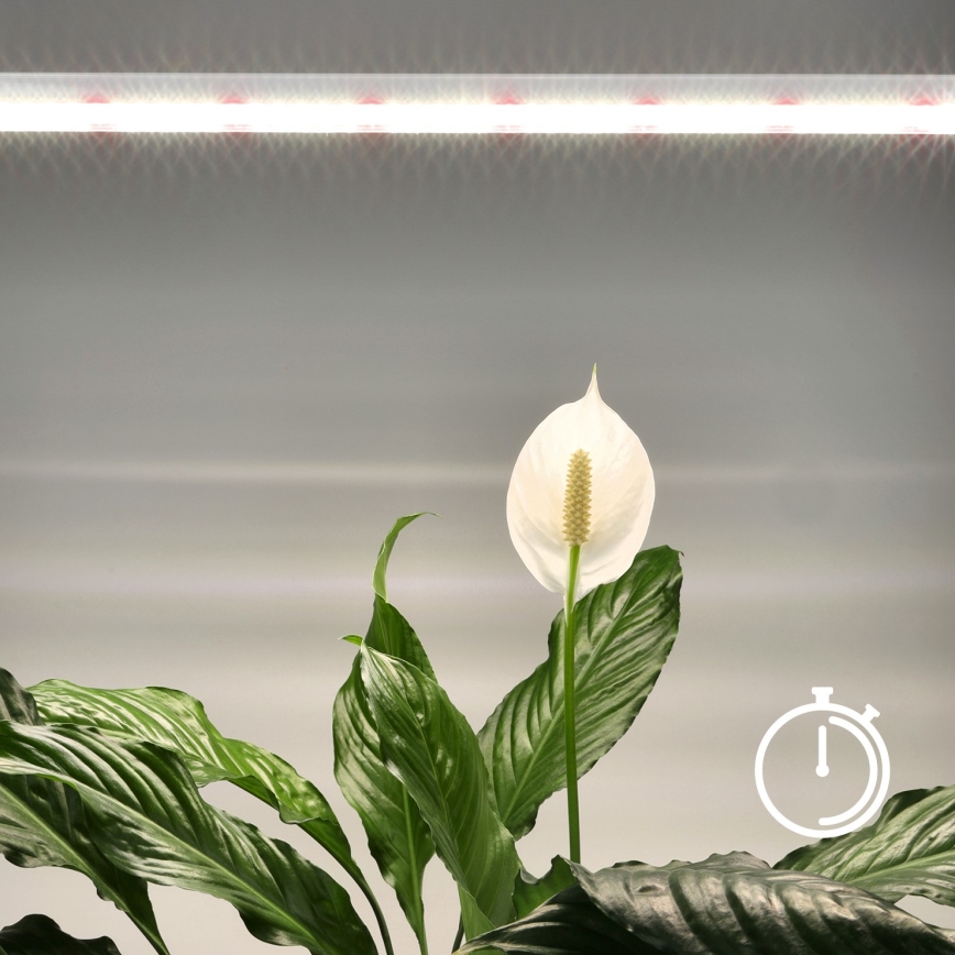 LED underskabslampe til plantevækst GROWLY LED/15W/230W