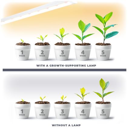 LED underskabslampe til plantevækst GROWLY LED/15W/230W