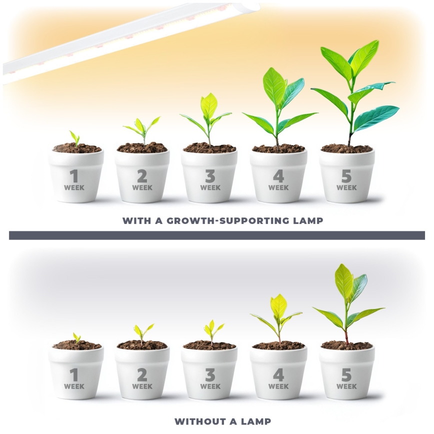 LED underskabslampe til plantevækst GROWLY LED/15W/230W