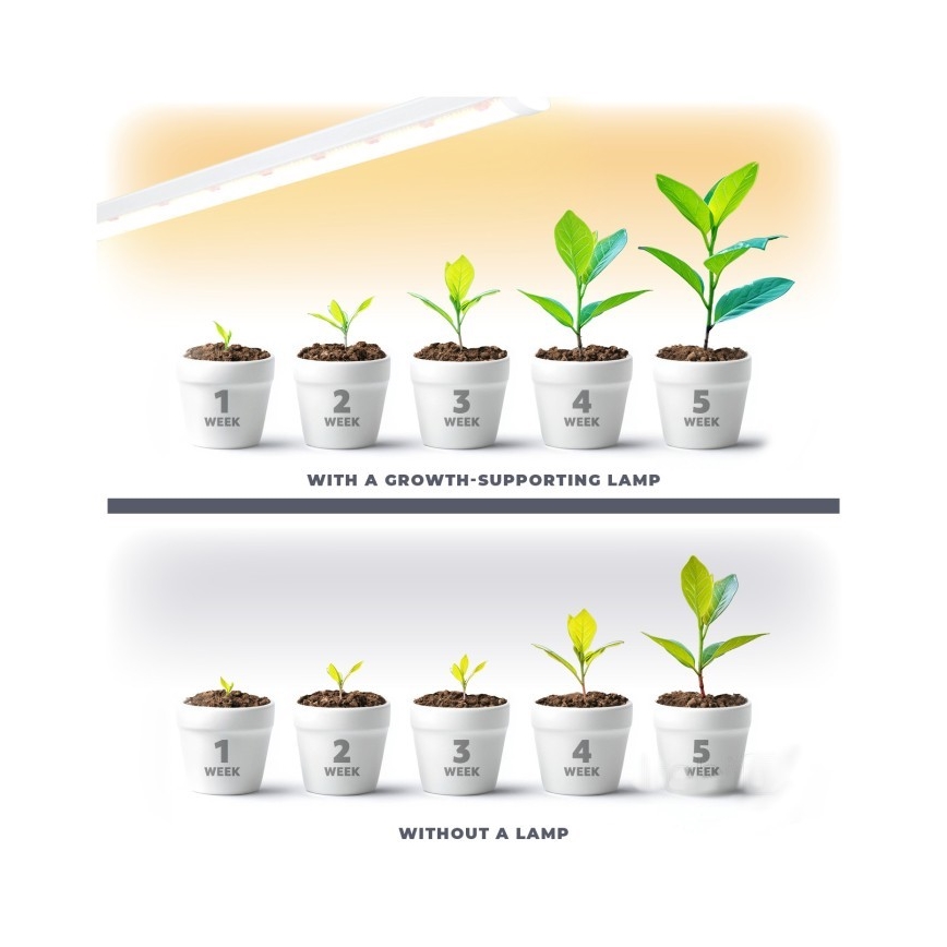 LED underskabslampe til plantevækst GROWLY LED/9W/230V hvid