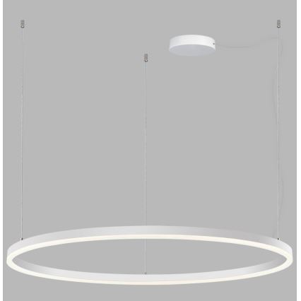 LED2 - LED Dæmpbar loftlampe på kabel SATURN LED/80W/230V Ø 100 cm hvid