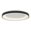 LED2 - LED Dæmpbar loftlampe BELLA LED/80W/230V 3000K/4000K sort