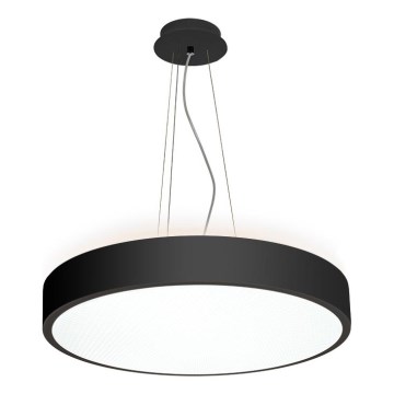 LED2 - LED loftlampe på kabel ROTO LED/48W/230V 2700K/3300K/4000K IP40 sort Ø 40 cm