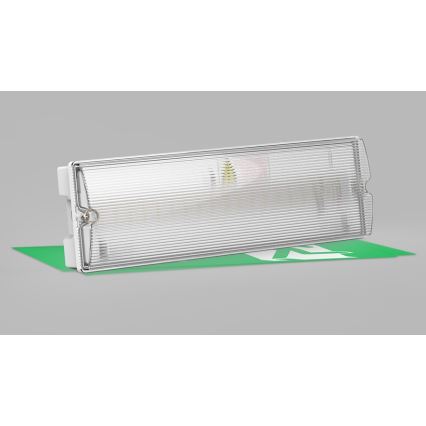 LED2 - LED nødlampe SAFE ON LED/3W/3,6V 6000K IP65