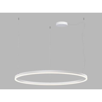 LED2 - LED pendel dæmpbar CIRCLE LED/80W/230V 3000K/4000K diameter 100 cm hvid