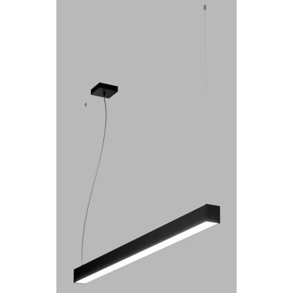 LED2 - LED pendel NOLI LED/40W/230V 3000K/3500K/4000K sort