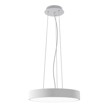 LED2 - LED-pendel på wire MONO SLIM LED/30W/230V 3000K/4000K Ø 40 cm hvid