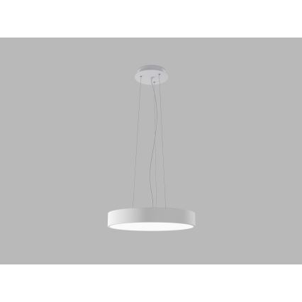 LED2 - LED-pendel på wire MONO SLIM LED/30W/230V 3000K/4000K Ø 40 cm hvid