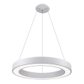 LED2 - LED pendel SATURN LED/50W/230V 3000K diameter 60 cm hvid
