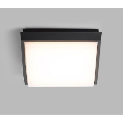 LED2 - Udendørs LED loftlampe QUADO LED/10W/230V antracitgrå IP54