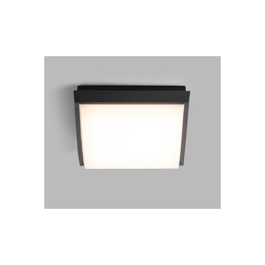 LED2 - Udendørs LED loftlampe QUADO LED/10W/230V antracitgrå IP54