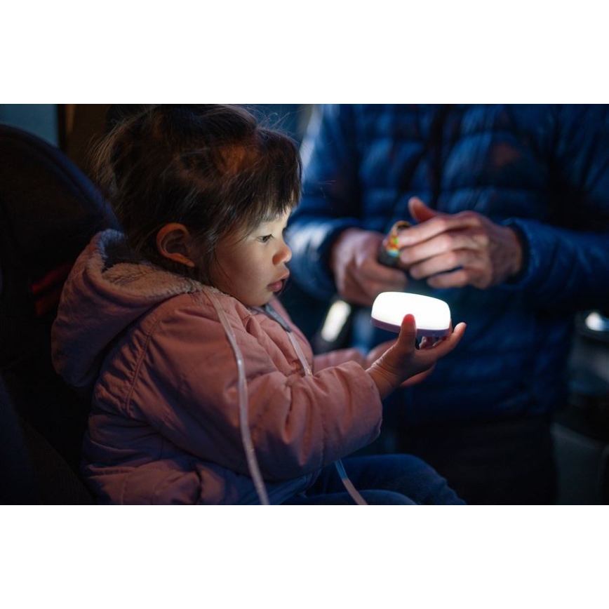 Ledlenser KIDCAMP6 DINO - LED dæmpbar bærbar lampe LED/3xAAA IP44 grøn