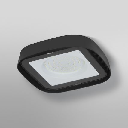 Ledvance - Industriel LED loftlampe HIGHBAY LED/80W/230V IP65 6500K