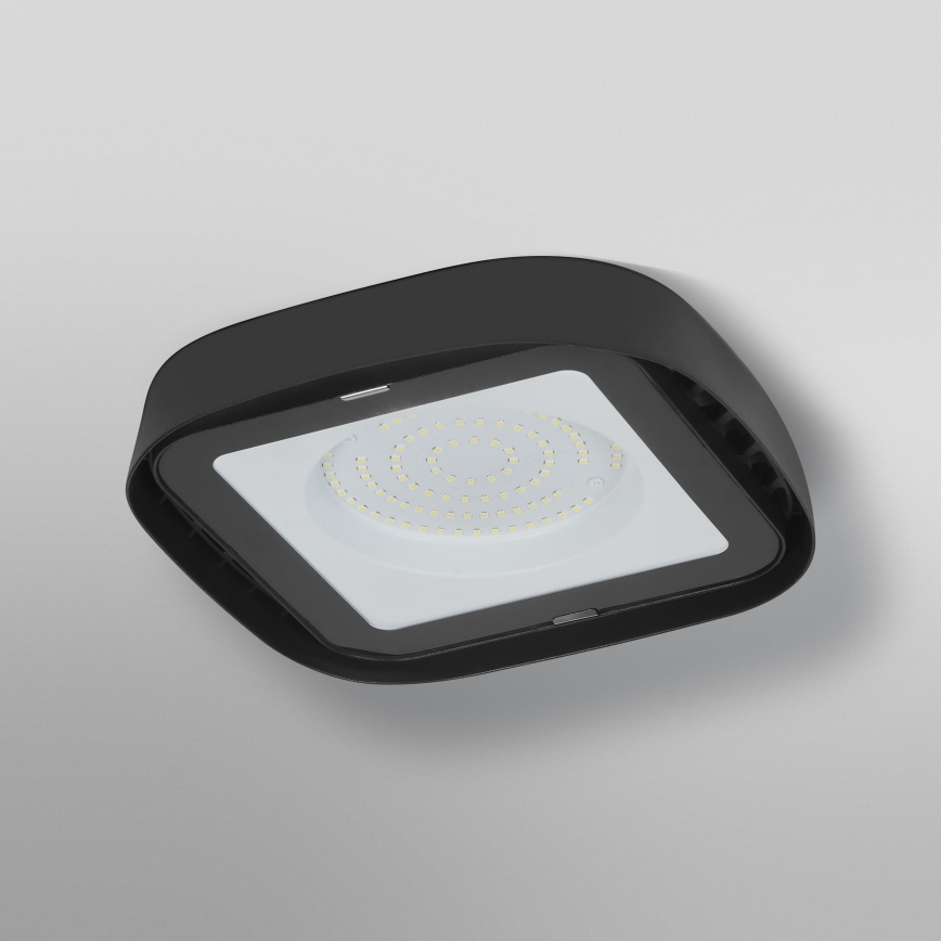Ledvance - Industriel LED loftlampe HIGHBAY LED/80W/230V IP65 6500K