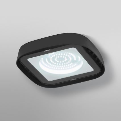 Ledvance - Industriel LED loftlampe HIGHBAY LED/80W/230V IP65 6500K