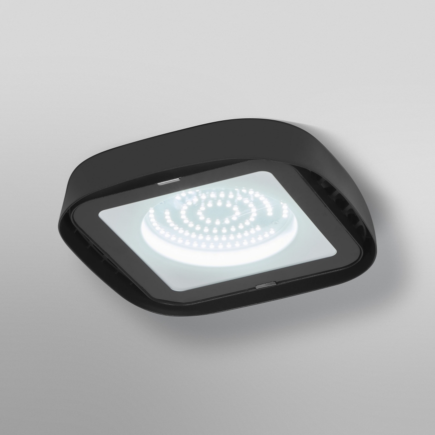 Ledvance - Industriel LED loftlampe HIGHBAY LED/80W/230V IP65 6500K