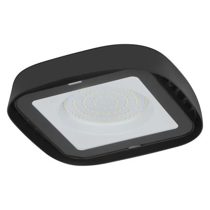 Ledvance - Industriel LED loftlampe HIGHBAY LED/80W/230V IP65 6500K