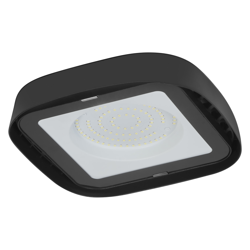 Ledvance - Industriel LED loftlampe HIGHBAY LED/80W/230V IP65 6500K