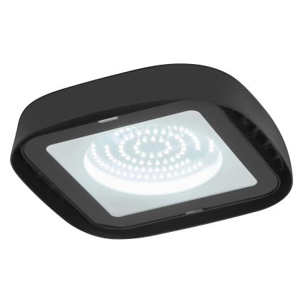 Ledvance - Industriel LED loftlampe HIGHBAY LED/80W/230V IP65 6500K