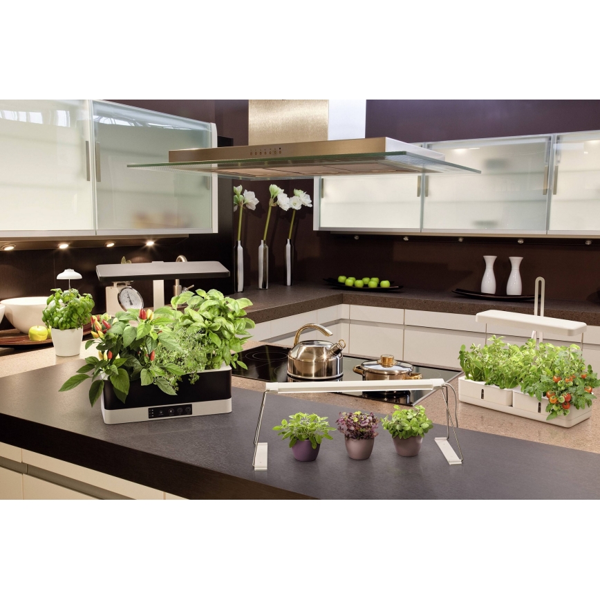 Ledvance - LED dæmpbar indendørs plantebelysning GARDEN KIT LED/24W/230V