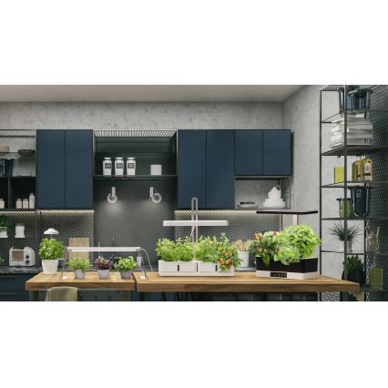 Ledvance - LED dæmpbar indendørs plantebelysning GARDEN KIT LED/24W/230V