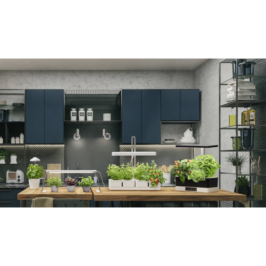 Ledvance - LED dæmpbar indendørs plantebelysning GARDEN KIT LED/24W/230V