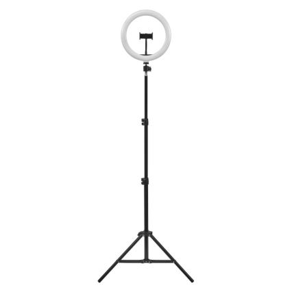 Ledvance - LED gulvlampe dæmpbar med et stativ og holder til vlogging LED/6W/USB 3000/4000/6500K