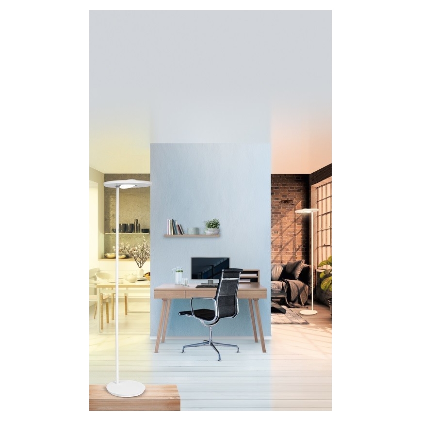 Ledvance - LED gulvlampe dæmpbar SUN@HOME LED/36W/230V 2200-5000K CRI 95 Wi-Fi