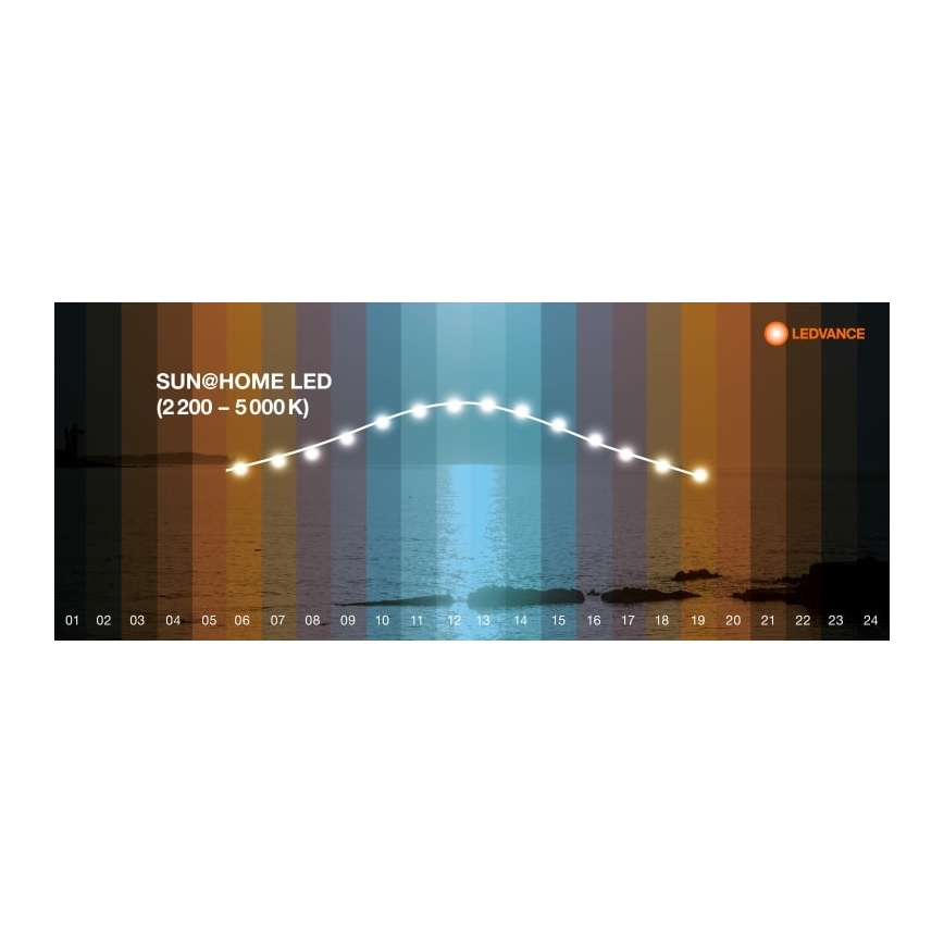 Ledvance - LED gulvlampe dæmpbar SUN@HOME LED/36W/230V 2200-5000K CRI 95 Wi-Fi