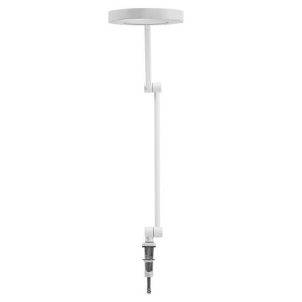 Ledvance - LED lampe med klemme dæmpbar SUN@HOME LED/15W/230V 2200-5000K CRI 95 Wi-Fi