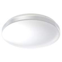 Ledvance - LED loftlampe til badeværelse med sensor CEILING ROUND LED/24W/230V IP44