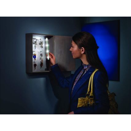 Ledvance - LED navigationslys LUMISTIXX 4xLED/0,6W/4,5V