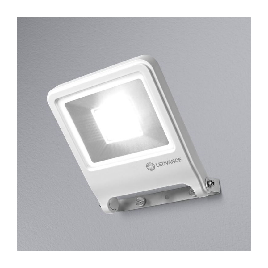 Ledvance - LED projektør ENDURA LED/50W/230V IP65