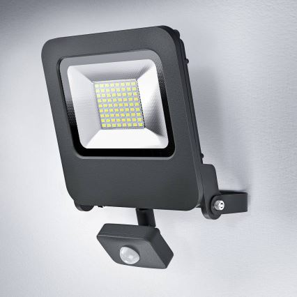 Ledvance - LED projektør med sensor ENDURA LED/50W/230V IP44